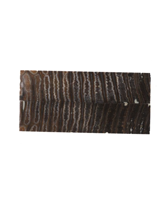 Manche de molaire de mammouth stabilisée MARRON